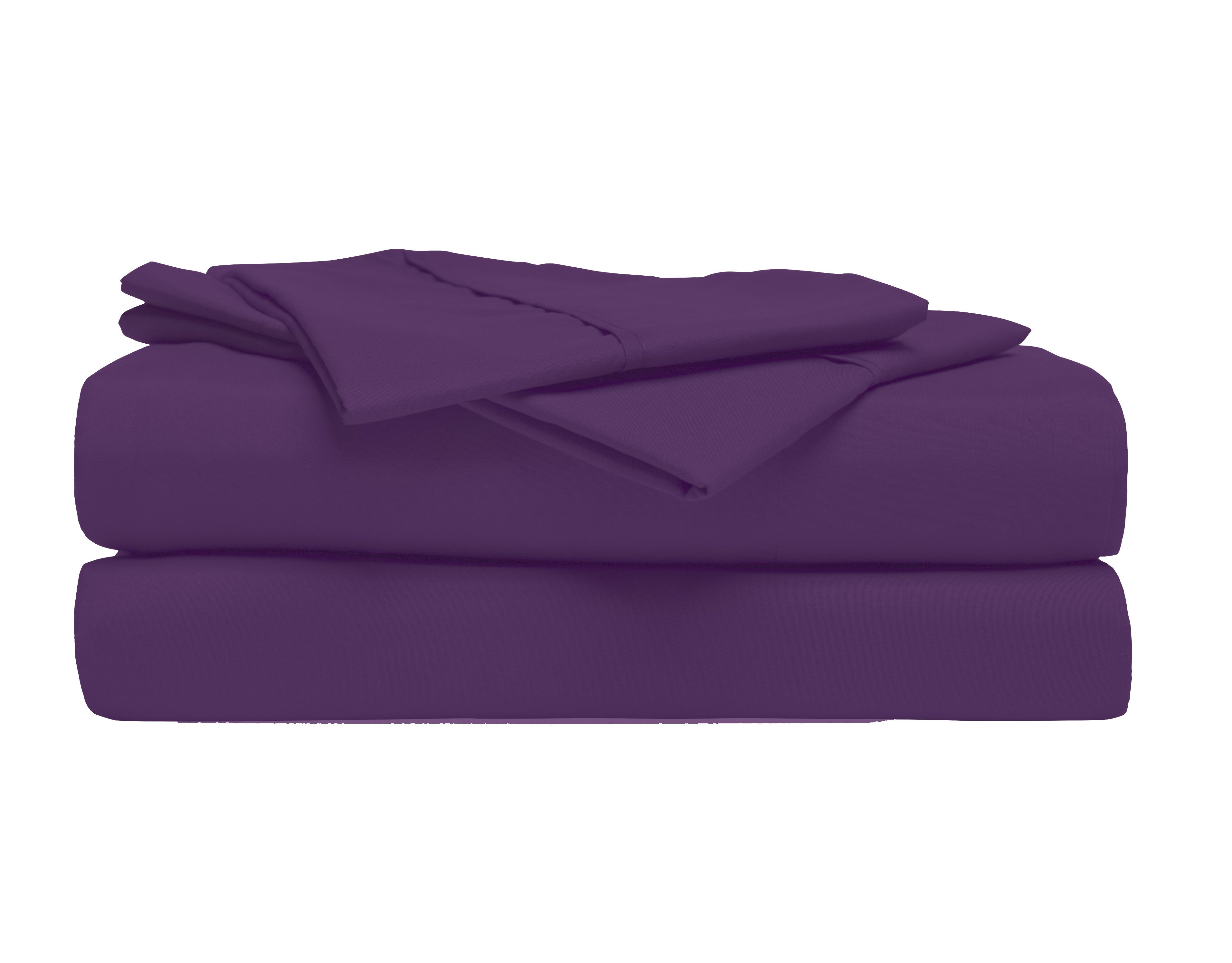 Eggplant